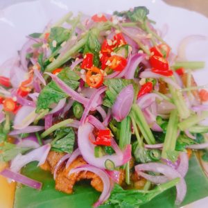 WhatsApp-Image-2024-03-21-at-5.11.01-PM.jpeg C01 香菜花肉 Pork Belly with Coriander